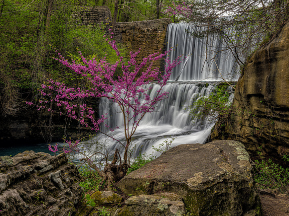 101-041119_8554mirrorlakefallsredbud