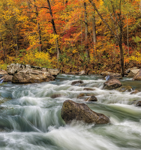 TIM ERNST PHOTOGRAPHY | ARKANSAS BEAUTY picture book