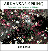 ARKANSAS SPRING picture book cover