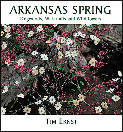 ARKANSAS SPRING picture book cover