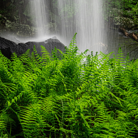 050622_0096bearcatFalls