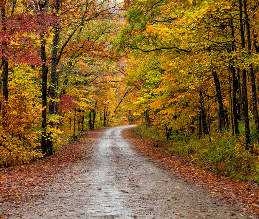 110118_7243FallingWaterRoadFallColor