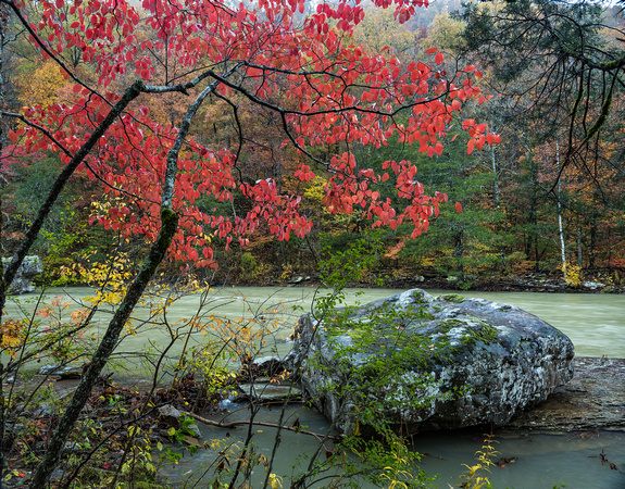 110118_7087FallingWaterRedbudmaster